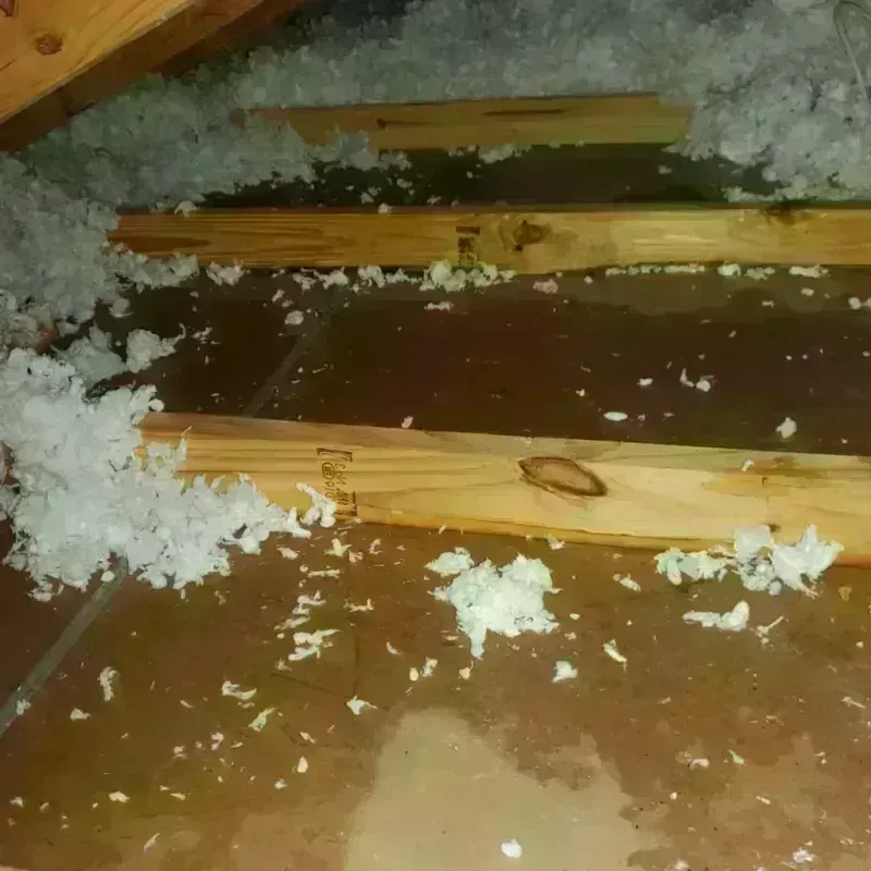 Attic Water Damage in Montebello, CA